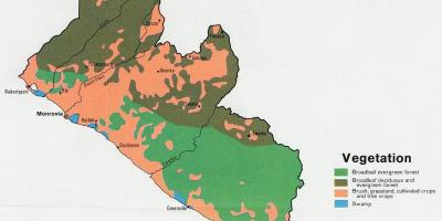 แผนที่ของ vegetation นแผนที่ของไลบีเรีย